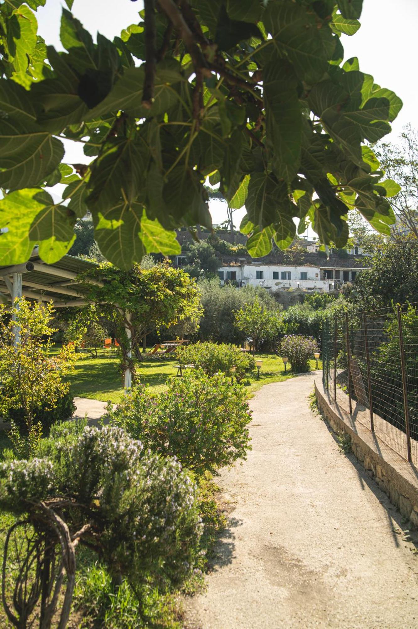 Park Victoria Hotel Forio di Ischia